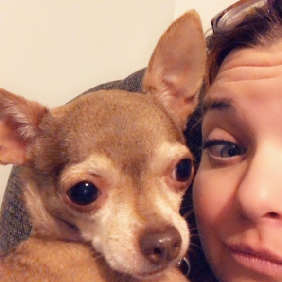 lovethosepups